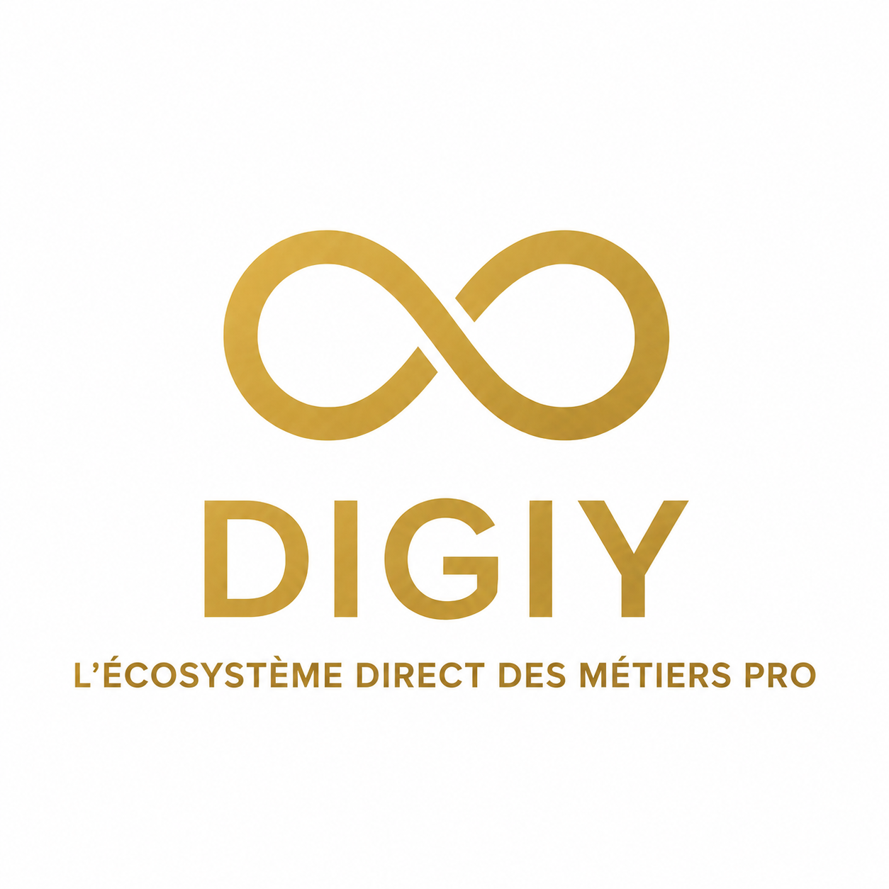 DIGIY — L’écosystème direct des métiers pro